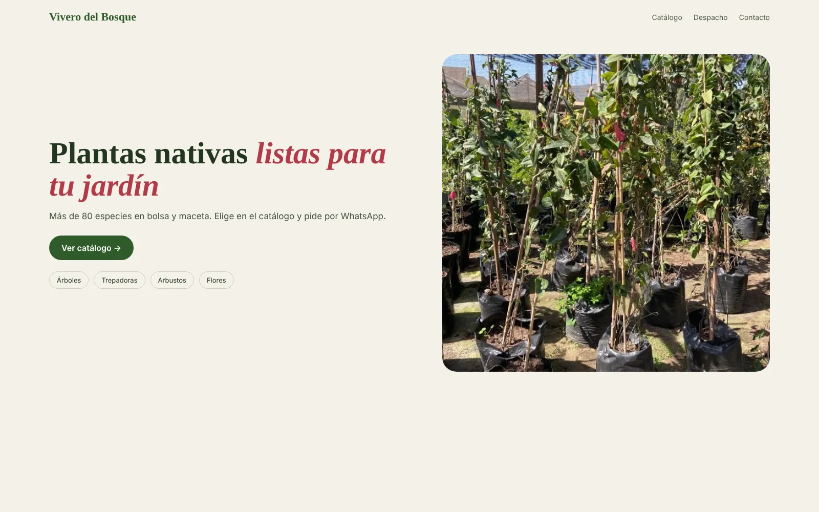 Captura de Vivero del Bosque