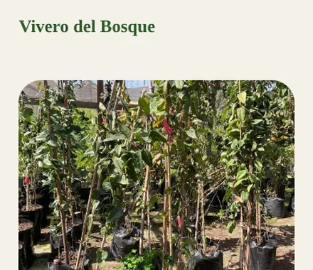 Página de vivero en el celular